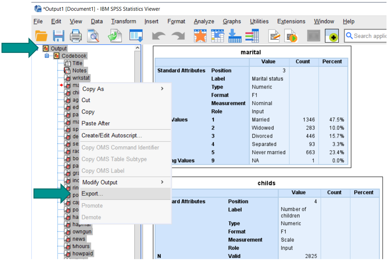 The Value of Codebook in IBM SPSS Statistics SPSS Analytics Partner