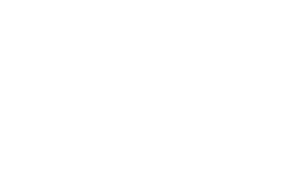 The Value of Codebook in IBM SPSS Statistics - SPSS Analytics Partner